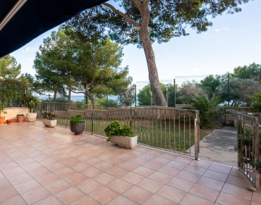 Apartment for sale in Palmanova - 31624