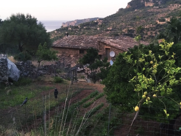 Villa in Deia — photo 2