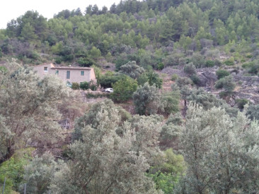 Villa in Deia — photo 3