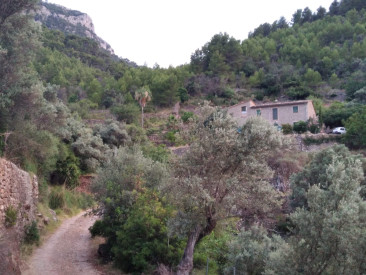 Villa in Deia — photo 4