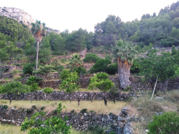Villa in Deia — photo 5