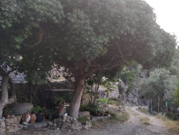 Villa in Deia — photo 6