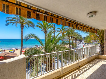 Apartment in Torrevieja — photo 2