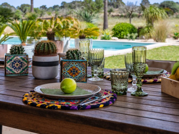Finca in Ses Salines — photo 5