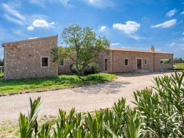 Finca in Campos — photo 3