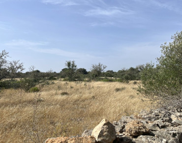 Land for sale in Ses Salines - 7298