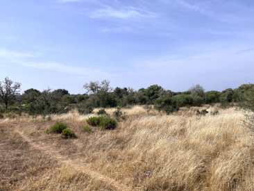 Plot / Land in Ses Salines — photo 2