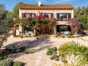 Finca in Ses Salines — photo 4