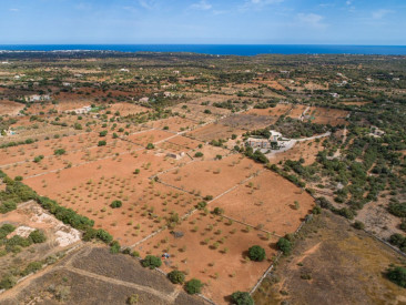 Finca in Santanyí — photo 4