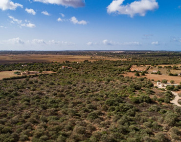 Land for sale in Santanyí - 7177
