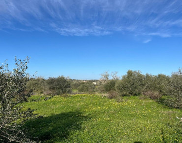 Land for sale in Ses Salines - 7306