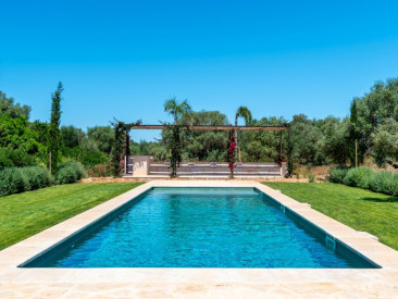 Finca in Campos — photo 3