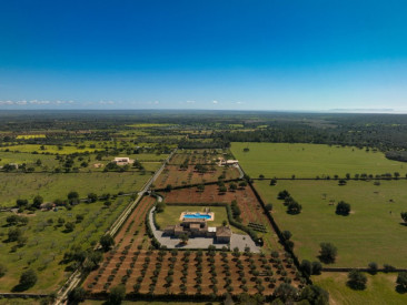 Finca in Llucmajor — photo 2