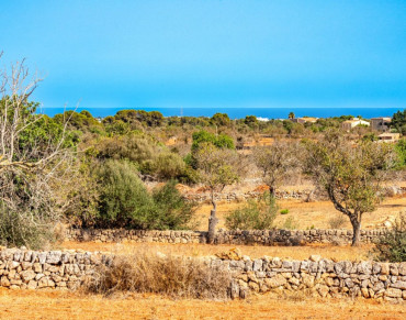 Land for sale in Alqueria Blanca, Santanyí - 7292