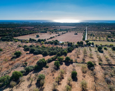 Land for sale in S´Horta, Felanitx - 7269