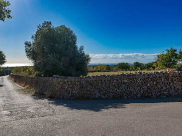 Plot / Land in Felanitx — photo 6