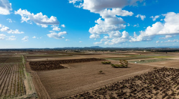 Plot / Land for sale in Manacor, Balearic Islands €450.000 — photo 2 of 18