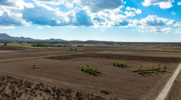 Plot / Land for sale in Manacor, Balearic Islands €450.000 — photo 4 of 18
