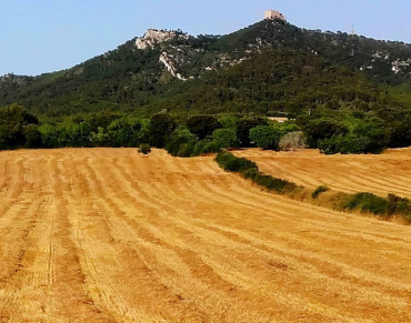Land for sale in Felanitx - 7139
