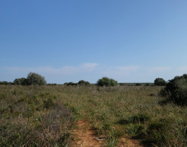Land for sale in Santanyí - 7178