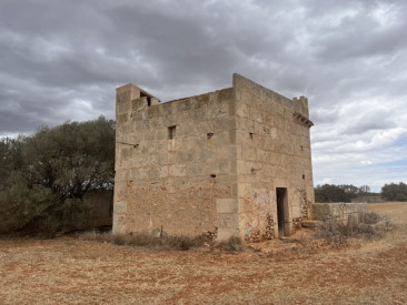 Plot / Land in Campos — photo 2