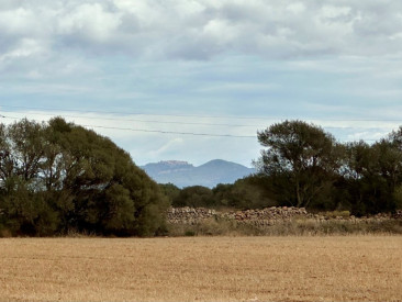 Plot / Land in Campos — photo 4