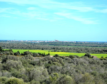 Finca for sale in Santanyí - 179