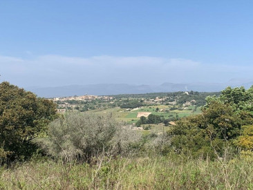 Plot / Land in Lloret de Vistalegre