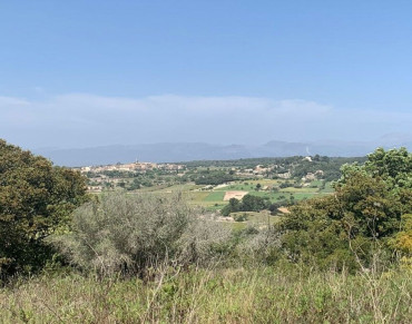 Land for sale in Lloret de Vistalegre - 7287