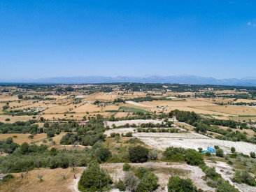 Plot / Land in Lloret de Vistalegre — photo 2
