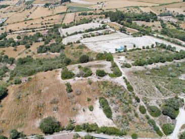 Plot / Land in Lloret de Vistalegre — photo 3