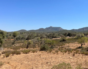 Land for sale in Es Carritxó, Felanitx - 7291