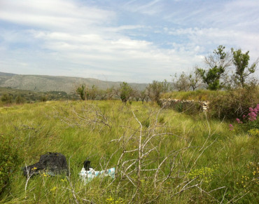 Land for sale in Partida Berdica Blanca, Benissa - BE.G-168
