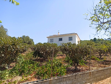 House in Estepona — photo 3
