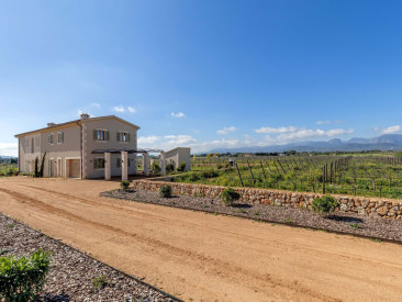 House in Binissalem — photo 4