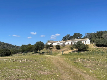 House in Castellar de la Frontera — photo 4