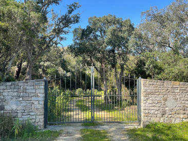 House in Castellar de la Frontera — photo 5