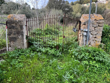House in Puigpunyent — photo 3