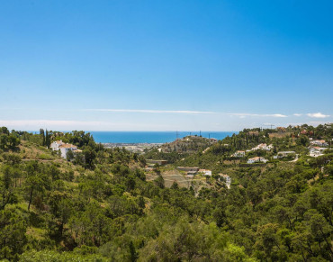 Land for sale in El Madronal - BHHS-MAR-05982