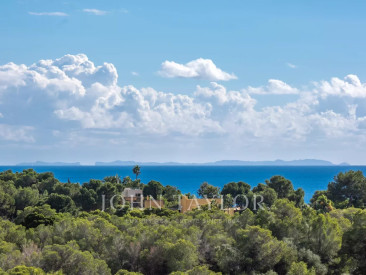 Villa in Portals Nous