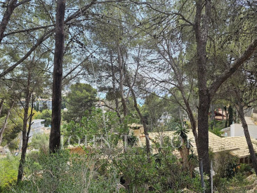 House in Peguera