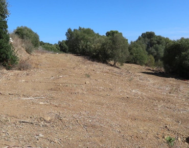 Land for sale in San Roque - LR-L222