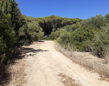 House for sale in San Roque - LR-SR-01