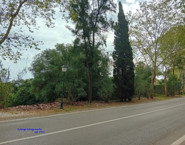 Land for sale in San Roque - ST-RP-180