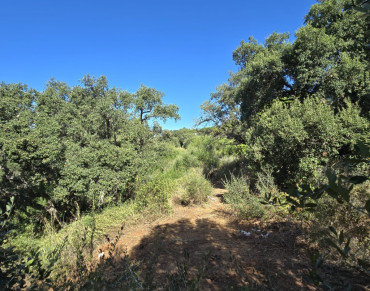 Land for sale in San Roque - ST-RP-ALT45