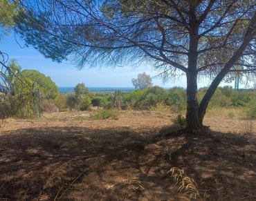 Land for sale in San Roque - AN-P-029