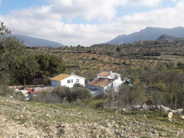 House in El Burgo — photo 3
