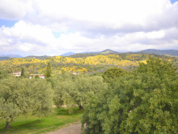 Villa in Marbella — photo 3