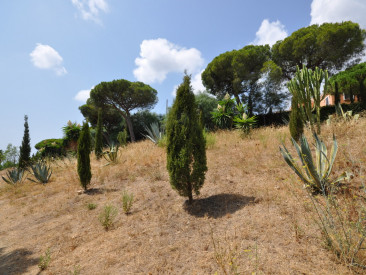 Plot / Land in Marbella — photo 3