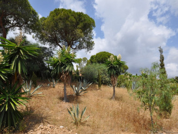 Plot / Land in Marbella — photo 4